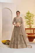 Aastha Fashion Metallic Gray Butterfly Net Tone To Tone Cotton Thread Work And Sequence Work Embroidery Wedding Wear Lehenga Choli | Grocsy