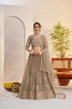 Aastha Fashion Metallic Gray Butterfly Net Tone To Tone Cotton Thread Work And Sequence Work Embroidery Wedding Wear Lehenga Choli | Grocsy