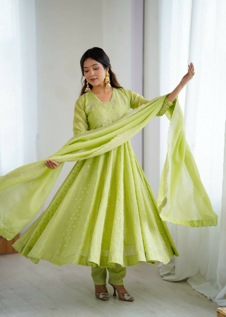 Teeya Creation Pista Green Color Heavy Crunchy Silk Embroidery Work Gown | Grocsy