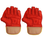 Virlok Foam Wicket keeping Gloves (Multi-Colour) | Grocsy