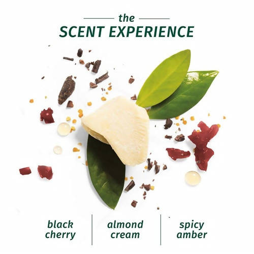 Herbal Essences Strength Whipped Cocoa Butter Conditioner | Grocsy