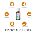 Ae Naturals Rosemary Essential Oil | Grocsy