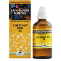 New Life Homeopathy Bach Flower Remedies Chestnut Bud Dilution | Grocsy