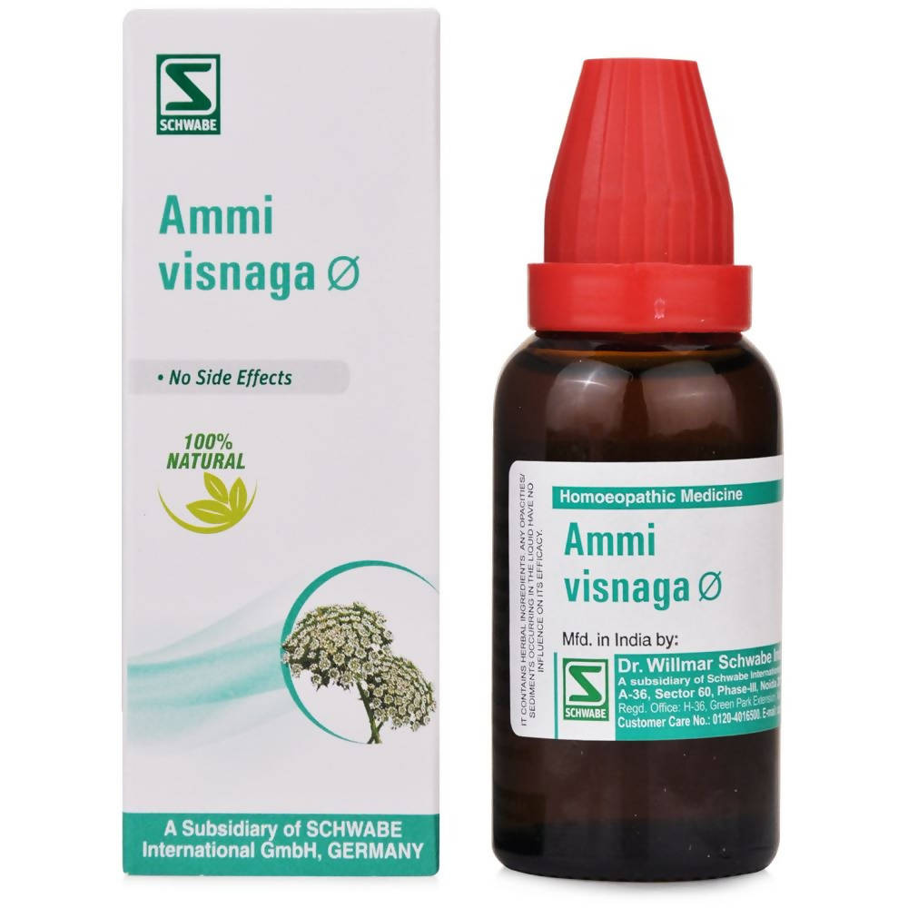 Dr. Willmar Schwabe India Ammi Visnaga Mother Tincture Q | Grocsy