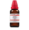 Dr. Willmar Schwabe India Ailanthus Glandulos Dilution | Grocsy