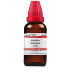 Dr. Willmar Schwabe India Ailanthus Glandulos Dilution | Grocsy
