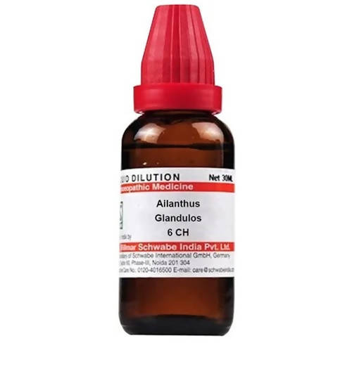 Dr. Willmar Schwabe India Ailanthus Glandulos Dilution | Grocsy