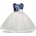 Asmaani Baby Girl White and Blue Full Length Dress (AS-DRESS-22050) | Grocsy