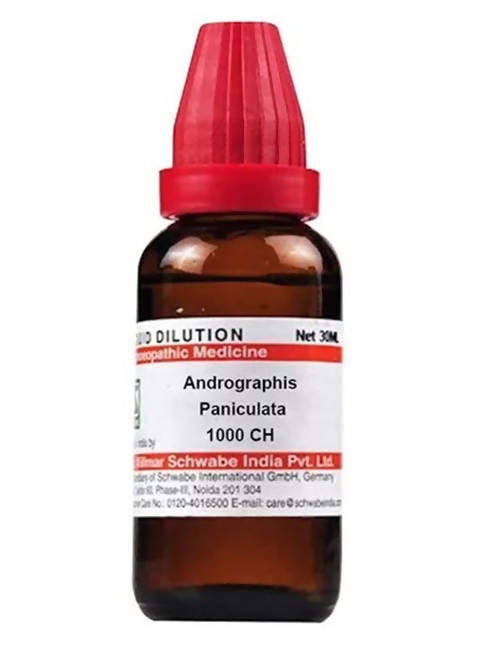 Dr. Willmar Schwabe India Andrographis Paniculata Dilution | Grocsy