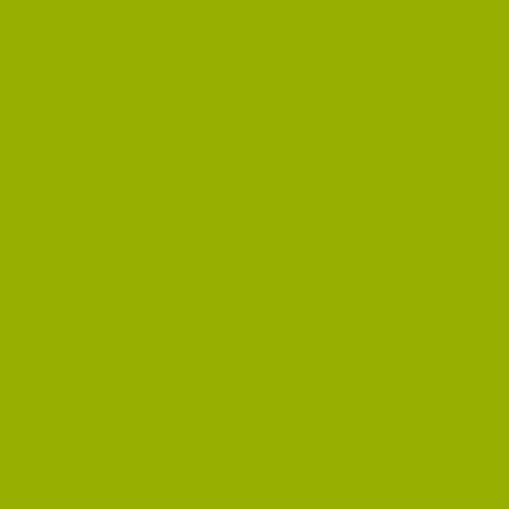 Confect Pea Green Fondant | Edible Nutritional Sugarpaste | Grocsy