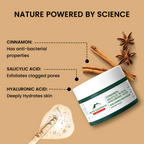 Alps Goodness Acne Control Face Mask for Dry Skin with Cinnamon, Salicylic Acid and Hyaluronic Acid | Grocsy
