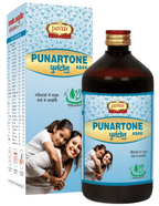 Jaived Ayurveda Punartone Asav | Grocsy