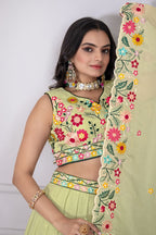 DEIANA'S Heavy Embroidery With Multi Work Lehenga Choli - Pastel Green | Grocsy