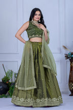 DEIANA'S Heavy Embroidery With Sequence Work Lehenga Choli - Mehndi | Grocsy