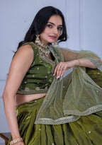 DEIANA'S Heavy Embroidery With Sequence Work Lehenga Choli - Mehndi | Grocsy