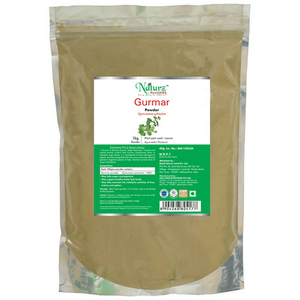 Naturz Ayurveda Gurmar Powder | Grocsy