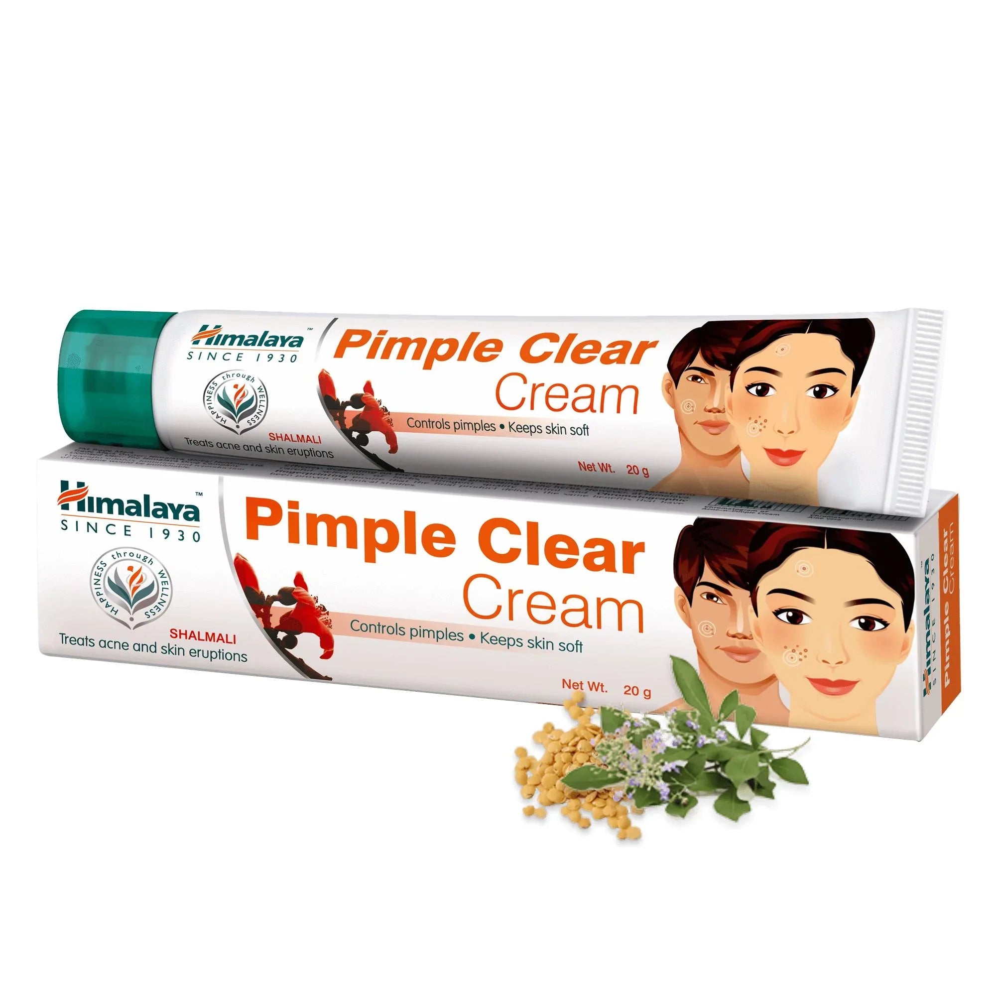 Himalaya Wellness Pimple Clear Cream | Grocsy