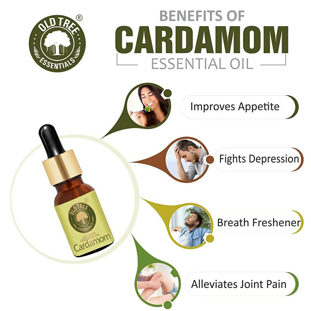 Old Tree Cardamom Essential Oil | Grocsy