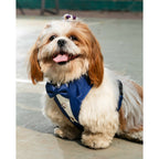 Waggety Tuxedo Dog Harness - Stylish Blue & White Design, Adjustable Fit, Durable Fabric, Elegant Pet Harness for Dogs | Grocsy