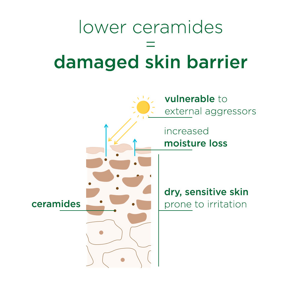 Simple Skin Barrier Cream Cleanser | Grocsy
