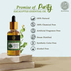 Buddha Natural Eucalyptus Pure Essential Oil-For Aromatherapy,Relaxation,Skin Therapy,Hair Care | Grocsy