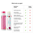 BabyChakra Moms Tinted Lip Balm and Baby lip Balm | Grocsy