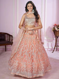 Tulsi Art Pretty Peach Sequins Soft Net Engagement Wear Lehenga Choli | Grocsy