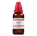 Dr. Willmar Schwabe India Bufo Rana Dilution | Grocsy