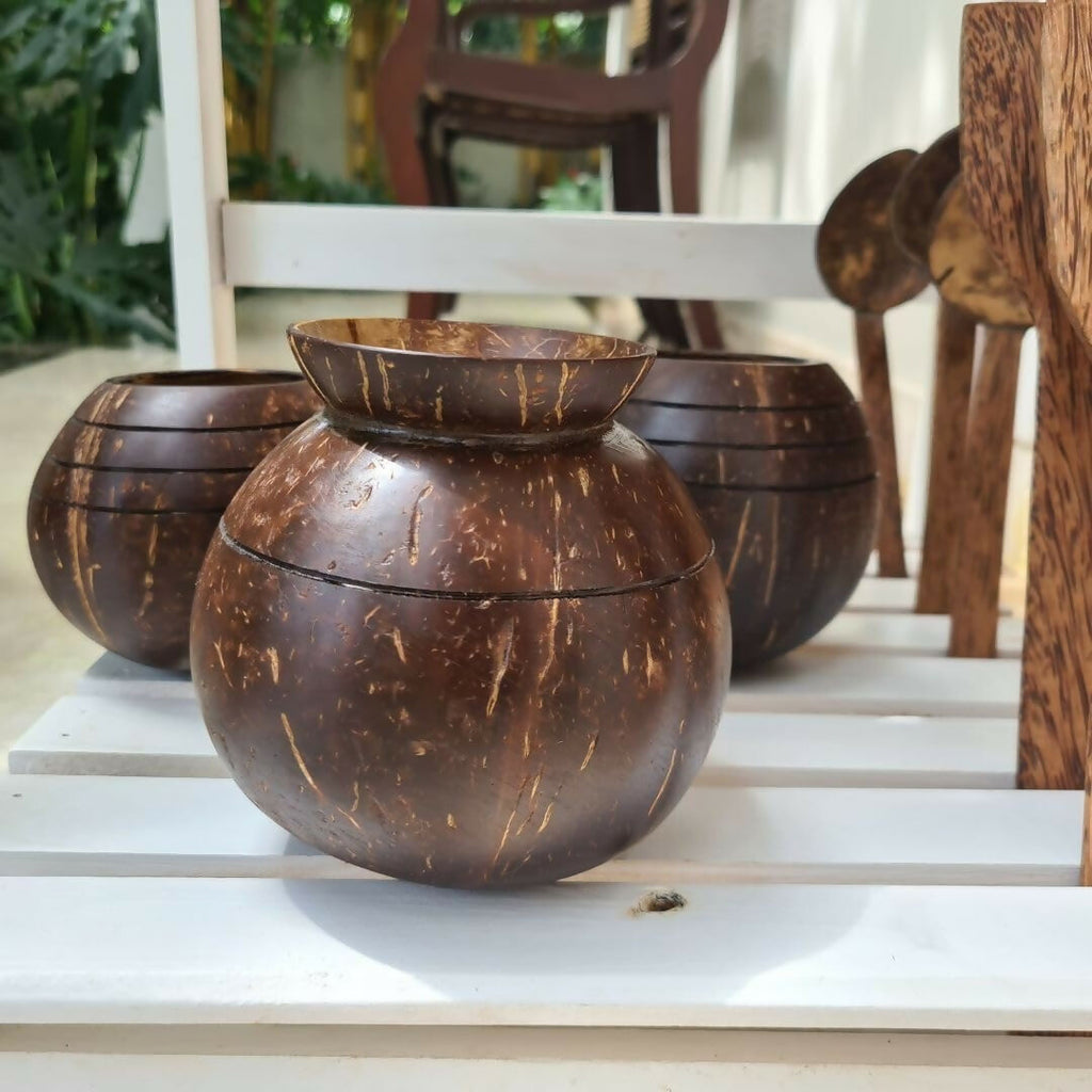 Thenga Handmade Coconut Shell Planter Pot with Cork Tray | Grocsy