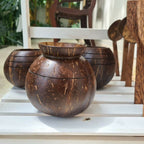 Thenga Handmade Coconut Shell Planter Pot with Cork Tray | Grocsy