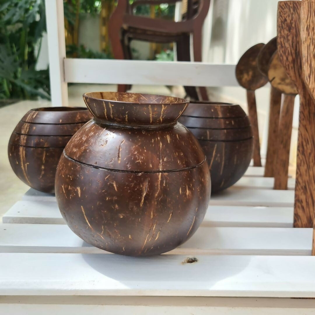 Thenga Handmade Coconut Shell Planter Pot with Cork Tray | Grocsy