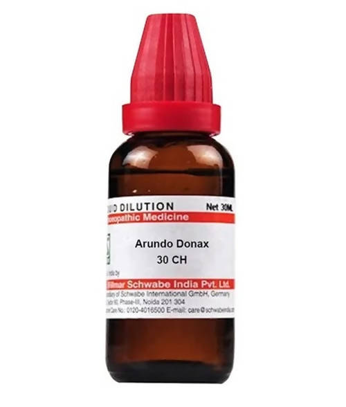 Dr. Willmar Schwabe India Arundo Donax Dilution | Grocsy