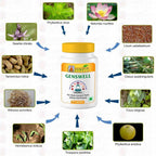 Gunatit Herbal Genswell Capsules | Grocsy