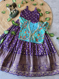 Evanik Festive Wear Purple Dola Silk zari and thread weaving Gown With Position Print Koti | Grocsy