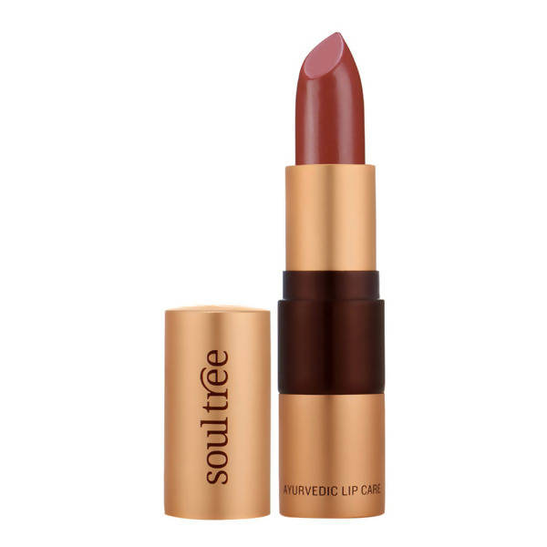 Soultree Ayurvedic Lipstick Rose Clay 610 | Grocsy