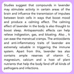 Satvi Wellness Lavender flower Tea | Lavender tea | Lavender flower drink mix  | Herbal Tea | Grocsy