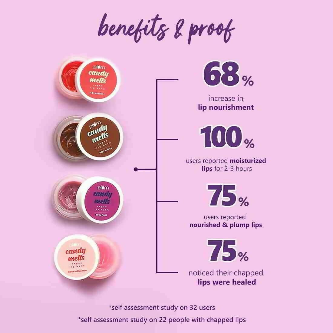 Plum Candy Melts Vegan Lip Balm - Mint-o-Coco | Grocsy