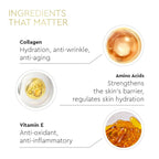 VLCC Clinic ProYouth Bio Cream SuperHydra Complex | Grocsy