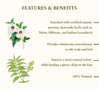 Just Herbs Herbal Henna Plus | Grocsy