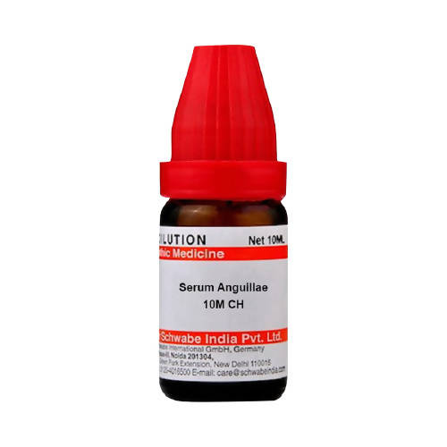 Dr. Willmar Schwabe India Serum Anguillae Dilution | Grocsy