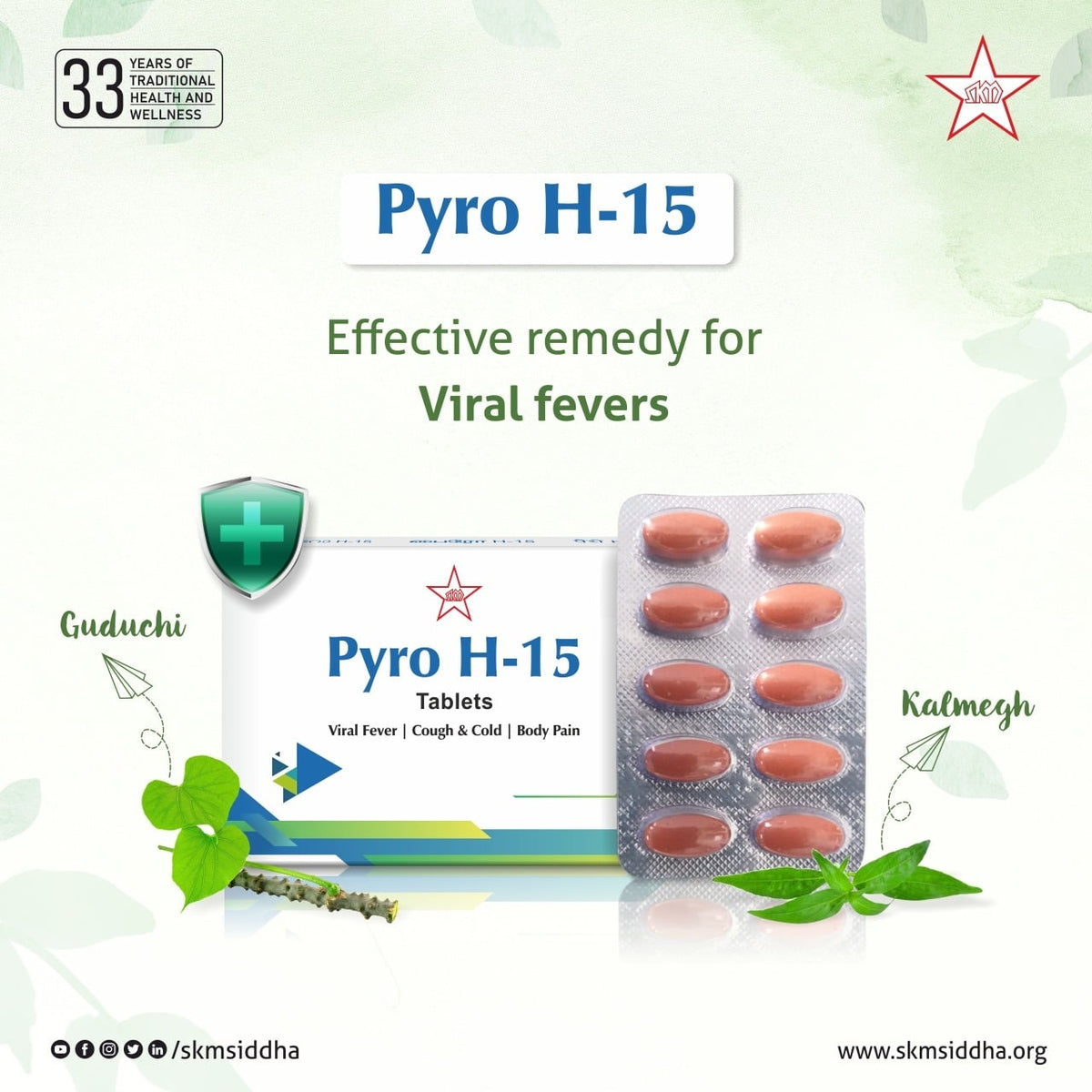 Skm Ayurveda Pyro H | Grocsy