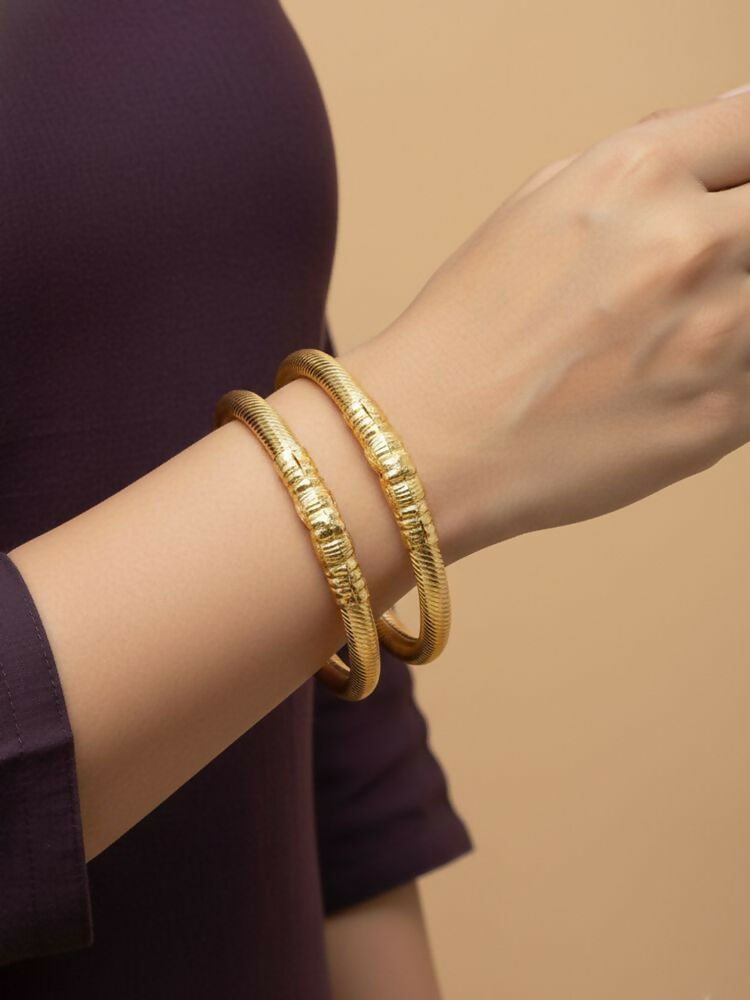 NVR Women Set of 2 Gold Plated Traditional Kada Bangle | Grocsy