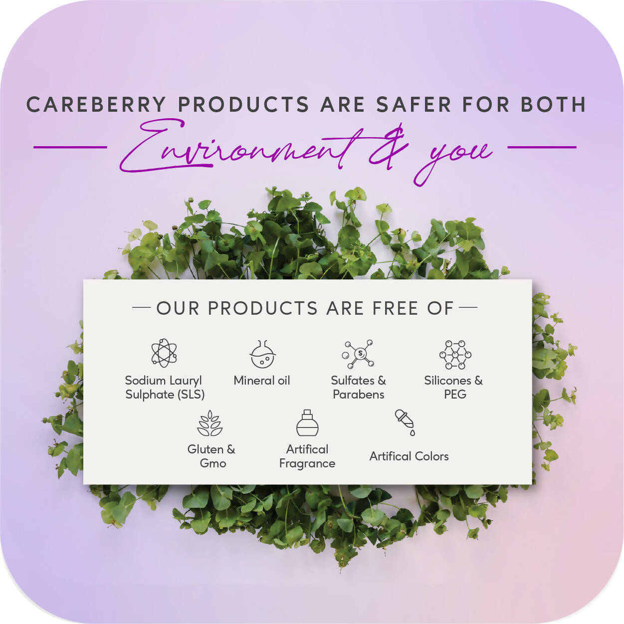 Careberry Organic Red Onion & Black Seed Stimulating Shampoo For Anti Hair Fall | Grocsy
