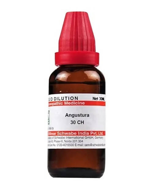 Dr. Willmar Schwabe India Angustura Dilution | Grocsy