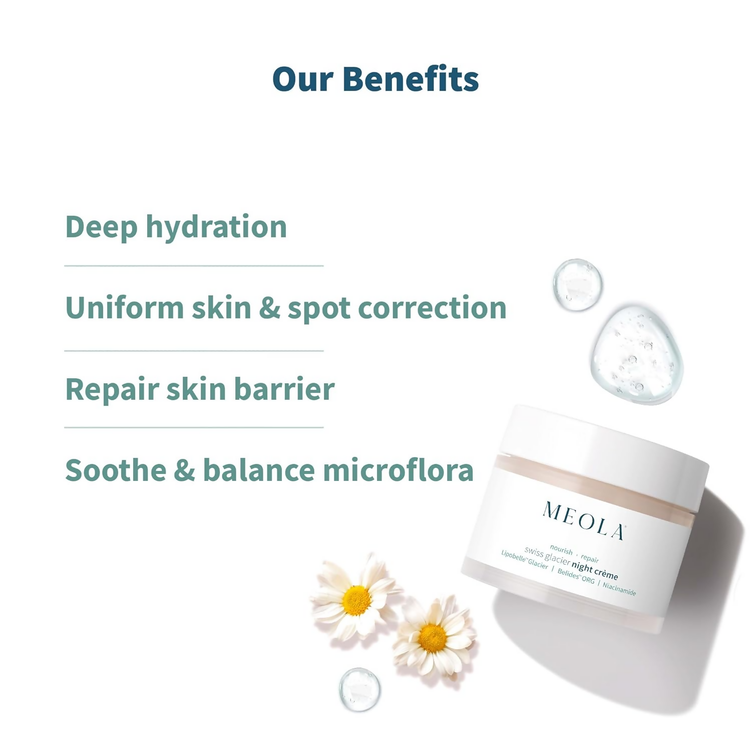 Meola Swiss Glacier Night Cream With Niacinamide | Grocsy