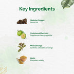 Dr. Vaidya's Herboslim Tablets | Grocsy