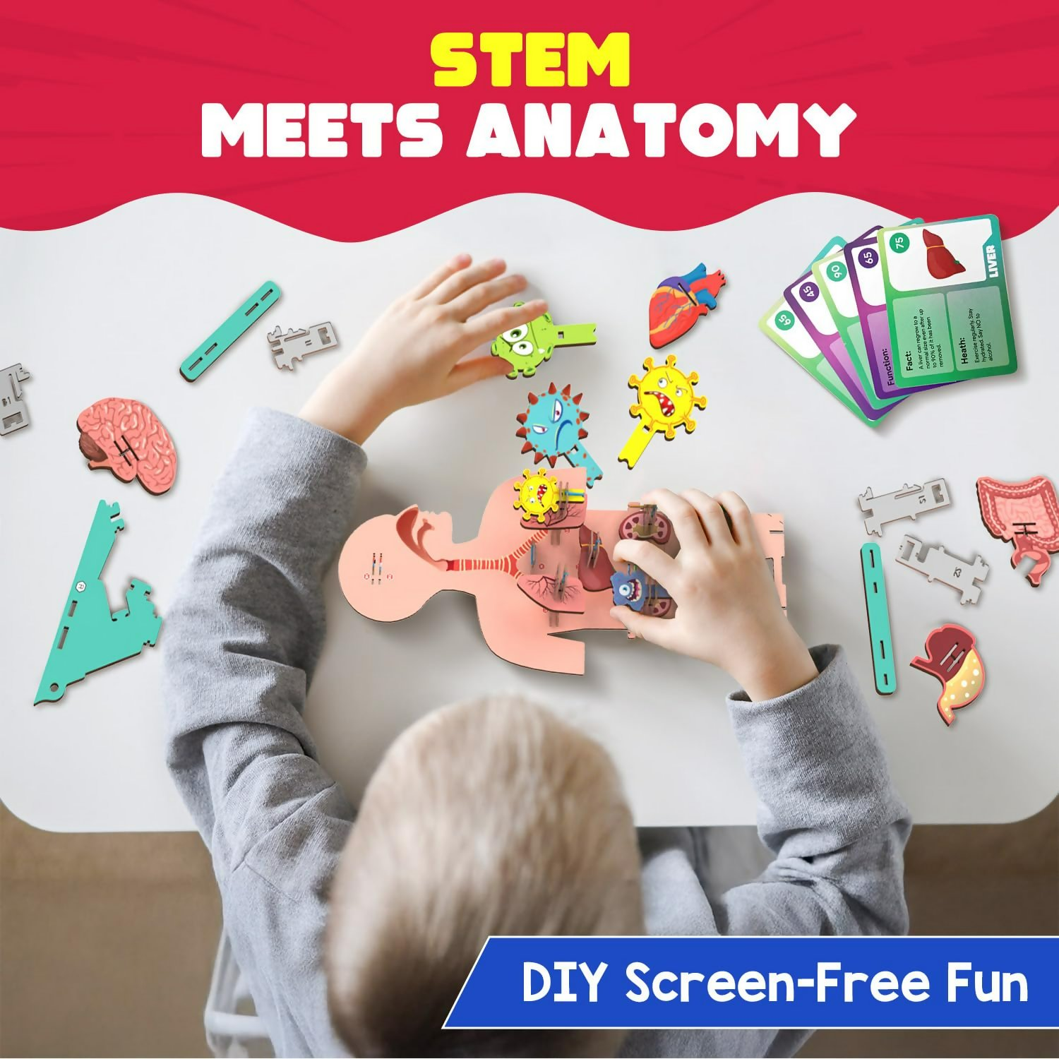 Smartivity Human Body Toy For Kids 6-12 Years Body Organs & Functions | Grocsy