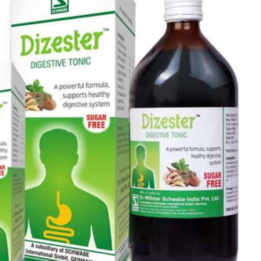 Dr. Willmar Schwabe India Dizester Digestive Tonic | Grocsy