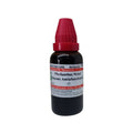 Dr. Willmar Schwabe India Phyllanthus Niruri Mother Tincture Q | Grocsy
