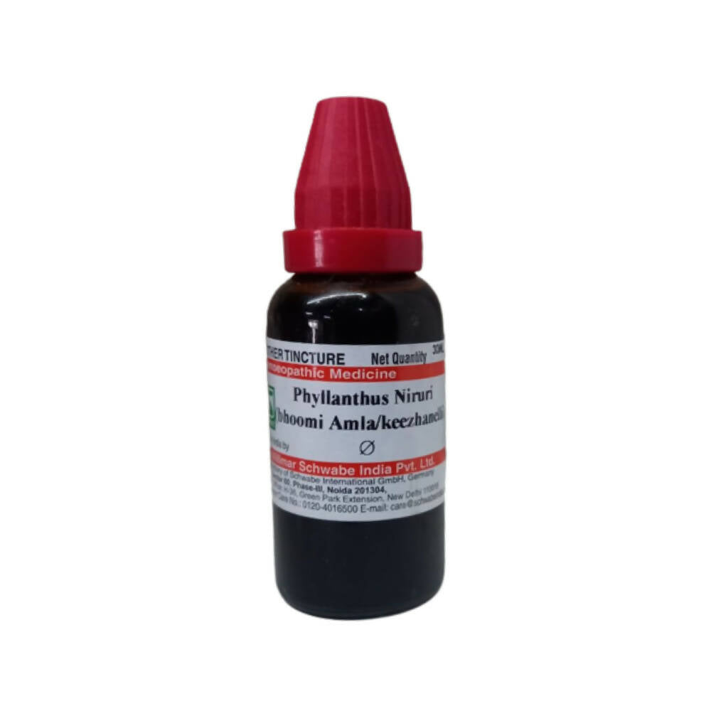 Dr. Willmar Schwabe India Phyllanthus Niruri Mother Tincture Q | Grocsy